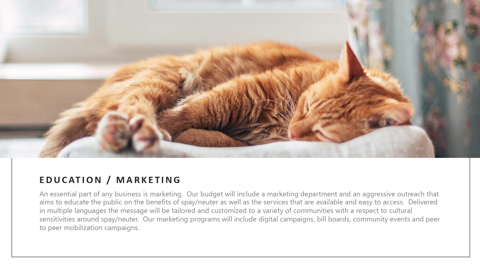 spay_la_marketing
